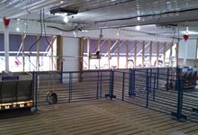 IMG_20130910_184412_491